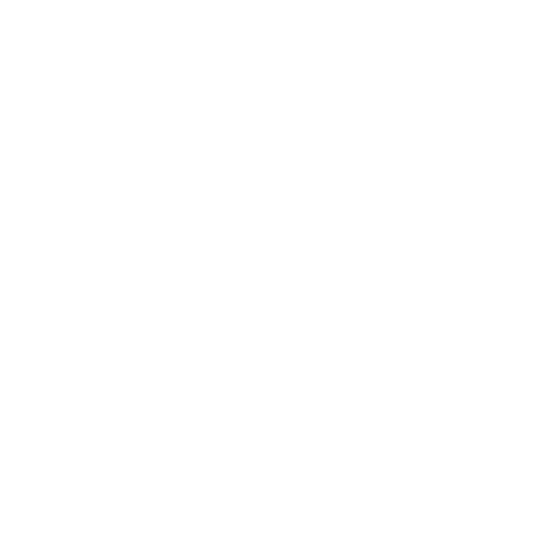 Information Technology Strategy